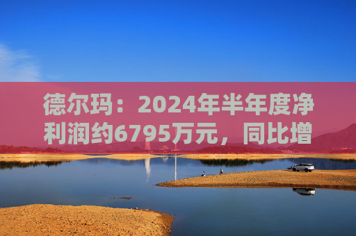 德尔玛：2024年半年度净利润约6795万元，同比增加0.71%