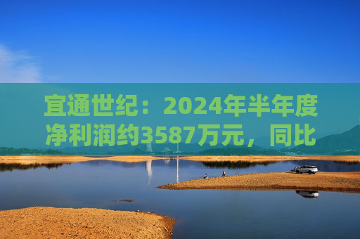 宜通世纪：2024年半年度净利润约3587万元，同比增加1057.5%