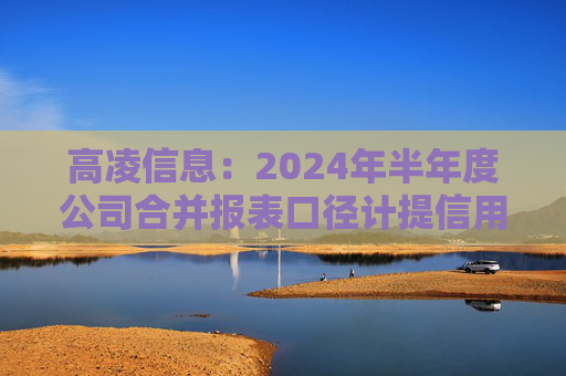 高凌信息：2024年半年度公司合并报表口径计提信用减值损失和资产减值损失合计1675.12万元