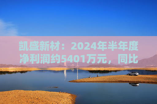 凯盛新材：2024年半年度净利润约5401万元，同比下降47.6%