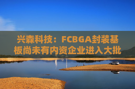 兴森科技：FCBGA封装基板尚未有内资企业进入大批量量产阶段