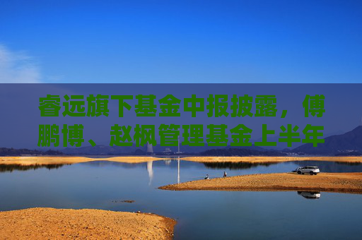 睿远旗下基金中报披露，傅鹏博、赵枫管理基金上半年纳入腾达科技等多只新股