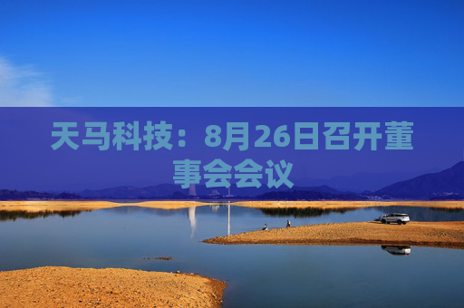 天马科技：8月26日召开董事会会议