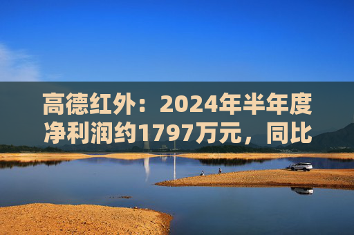 高德红外：2024年半年度净利润约1797万元，同比下降91.33%