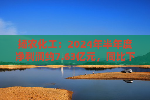 扬农化工：2024年半年度净利润约7.63亿元，同比下降32.1%