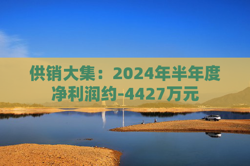 供销大集：2024年半年度净利润约-4427万元