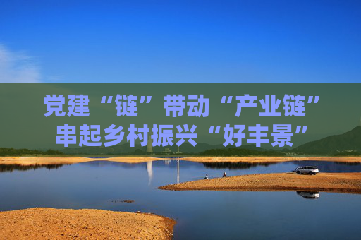 党建“链”带动“产业链”串起乡村振兴“好丰景”