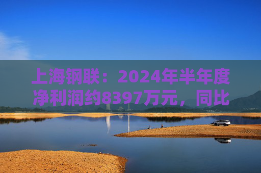 上海钢联：2024年半年度净利润约8397万元，同比下降29.41%