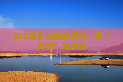 ESG投资热的冷思考：投“真绿”淘真金