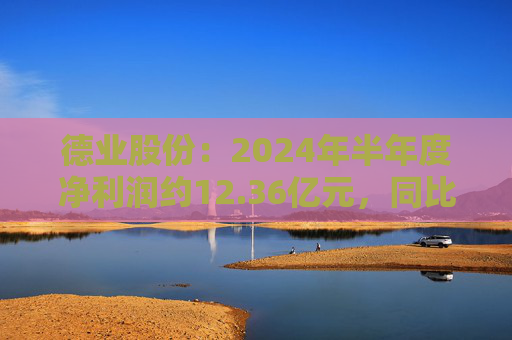 德业股份：2024年半年度净利润约12.36亿元，同比下降2.21%