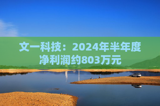 文一科技：2024年半年度净利润约803万元