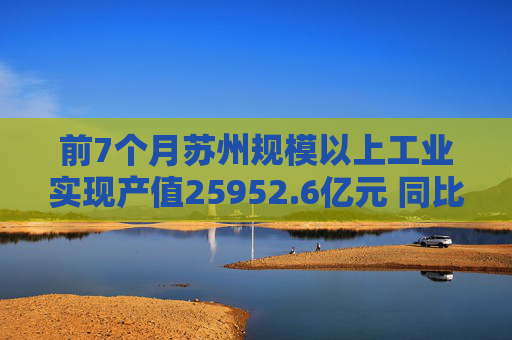 前7个月苏州规模以上工业实现产值25952.6亿元 同比增长5.6%