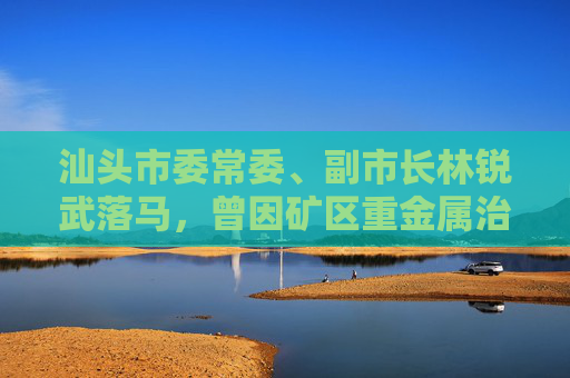 汕头市委常委、副市长林锐武落马，曾因矿区重金属治理不力被处分