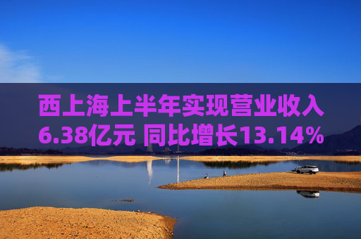 西上海上半年实现营业收入6.38亿元 同比增长13.14%