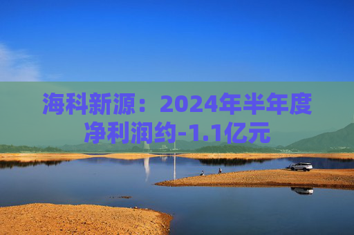 海科新源：2024年半年度净利润约-1.1亿元