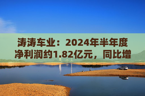 涛涛车业：2024年半年度净利润约1.82亿元，同比增加35.36%