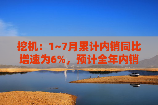 挖机：1~7月累计内销同比增速为6%，预计全年内销增速为5~10%