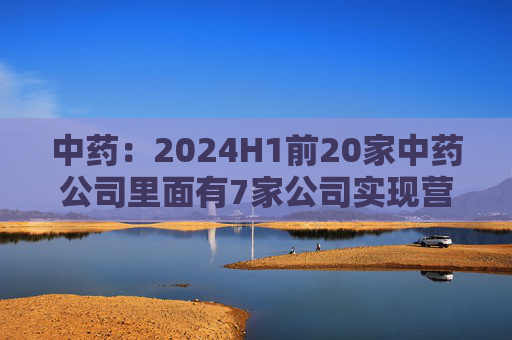 中药：2024H1前20家中药公司里面有7家公司实现营收增长，其他13家公司营收下降