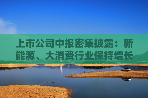 上市公司中报密集披露：新能源、大消费行业保持增长！多位券商首席分析师把脉下半年机会