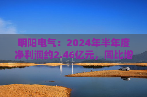 明阳电气：2024年半年度净利润约2.46亿元，同比增加52.36%