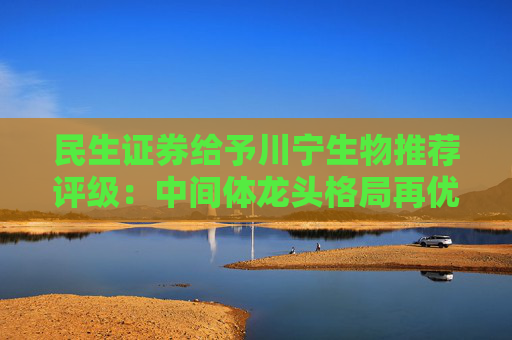 民生证券给予川宁生物推荐评级：中间体龙头格局再优化，公司业绩延续高增长之势