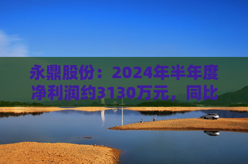 永鼎股份：2024年半年度净利润约3130万元，同比下降22.19%