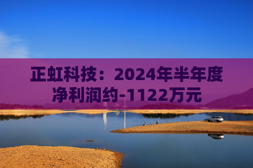 正虹科技：2024年半年度净利润约-1122万元