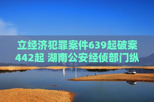 立经济犯罪案件639起破案442起 湖南公安经侦部门纵深推进夏季治安打击整治行动