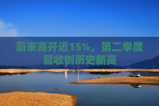 蔚来高开近15%，第二季度营收创历史新高