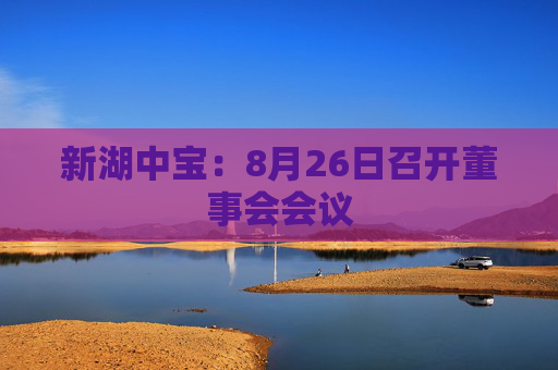 新湖中宝：8月26日召开董事会会议