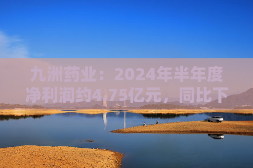 九洲药业：2024年半年度净利润约4.75亿元，同比下降23.62%