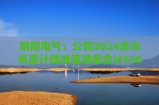 明阳电气：公司2024年半年度计提减值准备合计5561.69万元