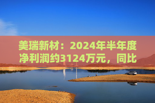 美瑞新材：2024年半年度净利润约3124万元，同比下降39.04%