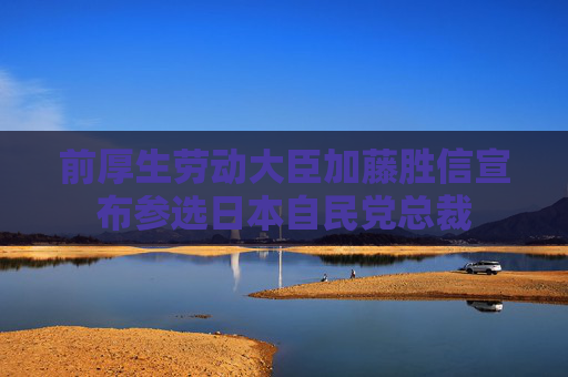 前厚生劳动大臣加藤胜信宣布参选日本自民党总裁