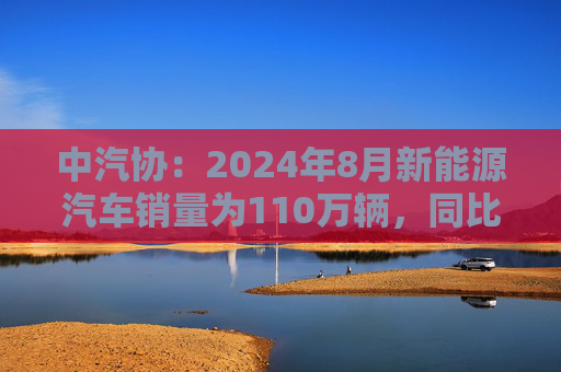 中汽协：2024年8月新能源汽车销量为110万辆，同比增长30%