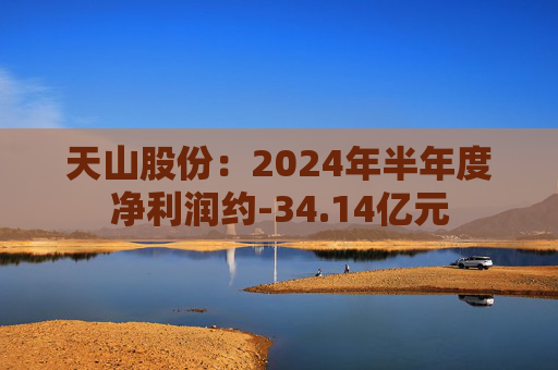 天山股份：2024年半年度净利润约-34.14亿元