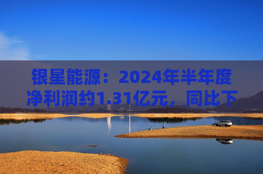 银星能源：2024年半年度净利润约1.31亿元，同比下降15.57%