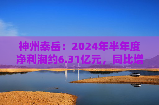 神州泰岳：2024年半年度净利润约6.31亿元，同比增加56.18%