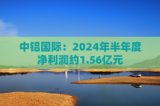 中铝国际：2024年半年度净利润约1.56亿元