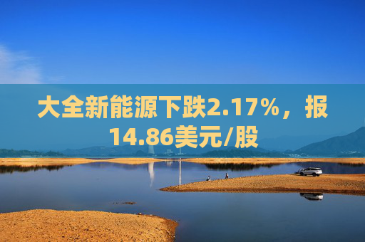 大全新能源下跌2.17%，报14.86美元/股