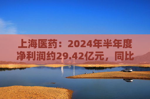 上海医药：2024年半年度净利润约29.42亿元，同比增加12.72%