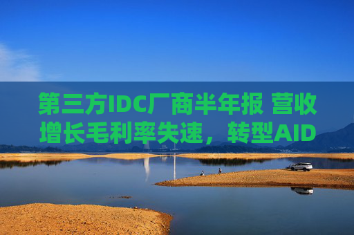 第三方IDC厂商半年报 营收增长毛利率失速，转型AIDC跑马圈地