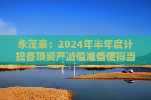 永茂泰：2024年半年度计提各项资产减值准备使得当期利润总额减少446.14万元