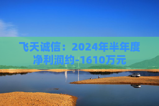 飞天诚信：2024年半年度净利润约-1610万元