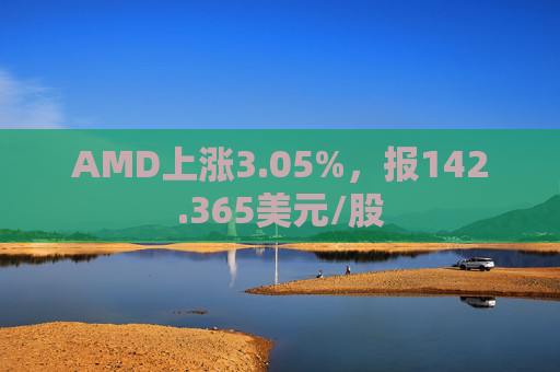 AMD上涨3.05%，报142.365美元/股