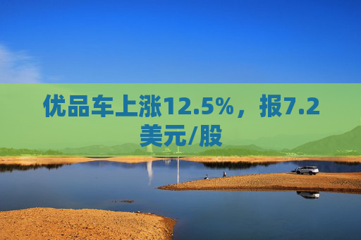 优品车上涨12.5%，报7.2美元/股