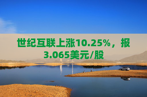 世纪互联上涨10.25%，报3.065美元/股