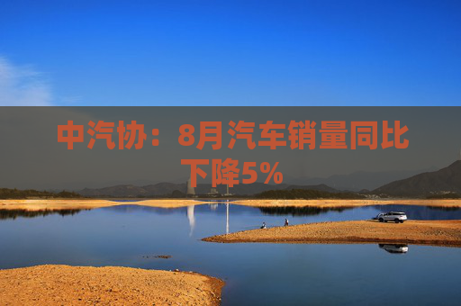 中汽协：8月汽车销量同比下降5%