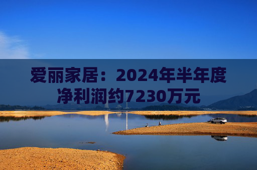 爱丽家居：2024年半年度净利润约7230万元