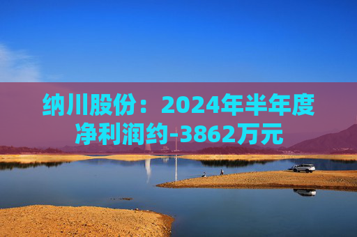 纳川股份：2024年半年度净利润约-3862万元